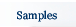 Click to View Writing Samples